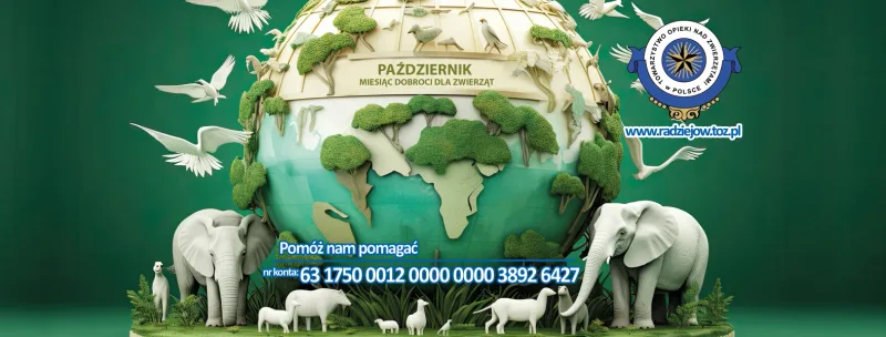 Październik - miesiąc dobroci dla zwierząt