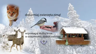 Apel zimowy o pomoc zwierzętom