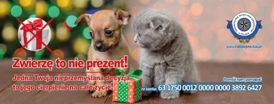 Zwierzę to nie prezent