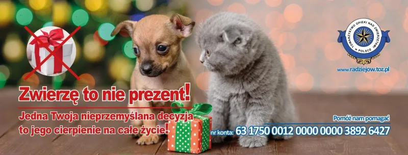 Zwierzę to nie prezent