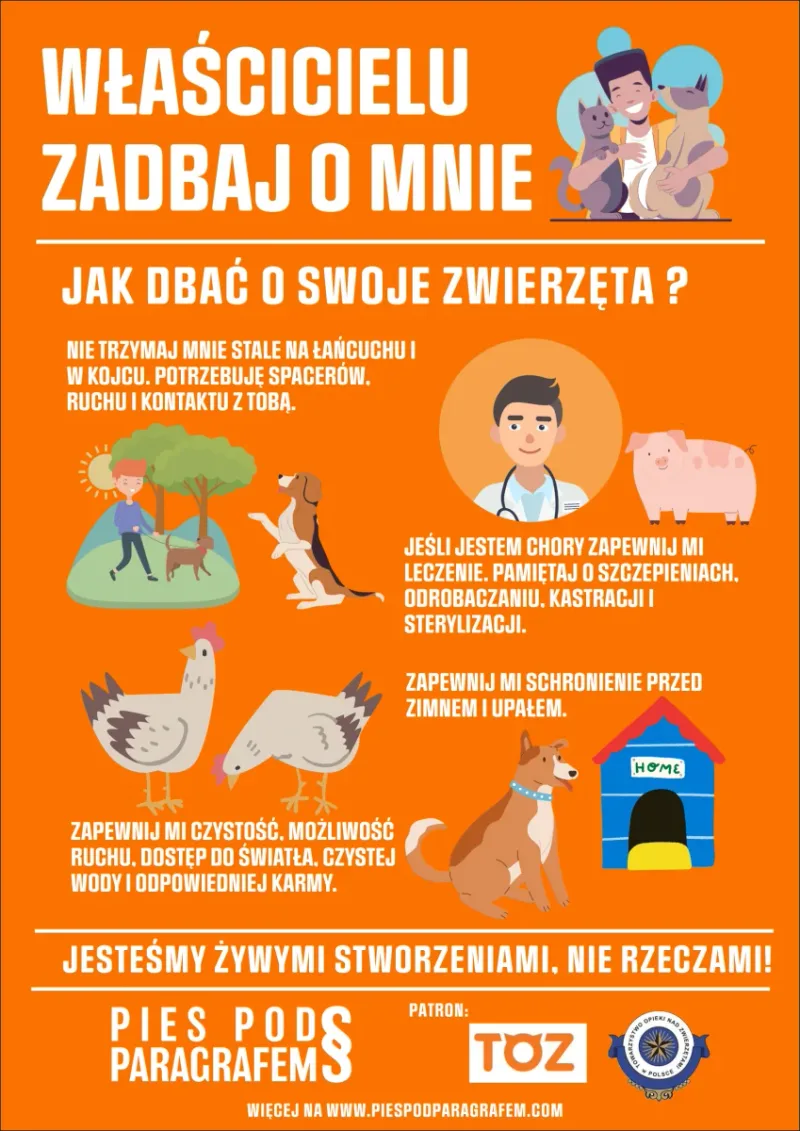 Projekt „Pies pod Paragrafem” we Wrocławiu