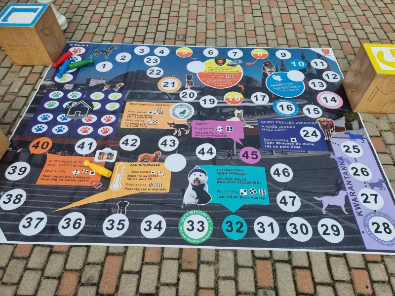 Edukacja ekologiczna w województwie świętokrzyskim
