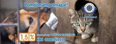 Podsumowanie działań TOZ w 2023 roku