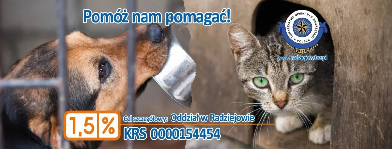 Podsumowanie działań TOZ w 2023 roku