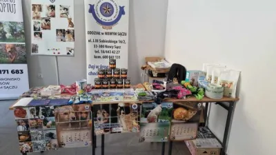 Pierwszy Nowosądecki Festiwal Psów i Kotów "PsyKoty"