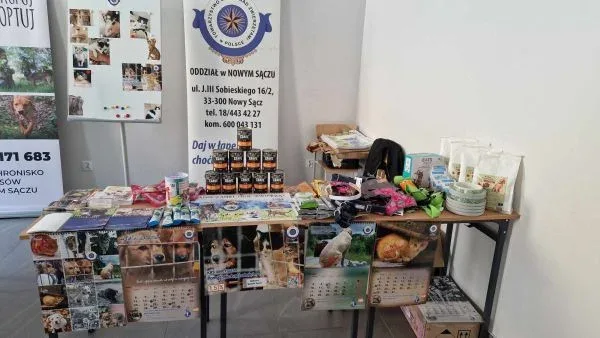 Pierwszy Nowosądecki Festiwal Psów i Kotów "PsyKoty"