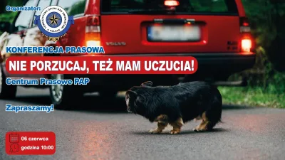 Prezentacja spotu kampanii "Nie porzucaj!"