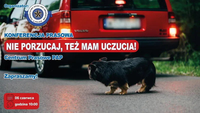 Prezentacja spotu kampanii "Nie porzucaj!"