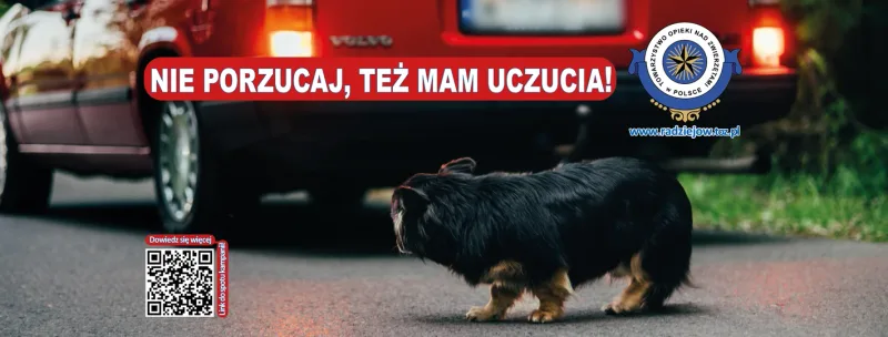 Kampania wakacyjna „Nie porzucaj!” 2024