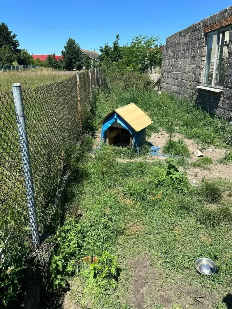 Kontrole dobrostanu zwierząt na wsiach