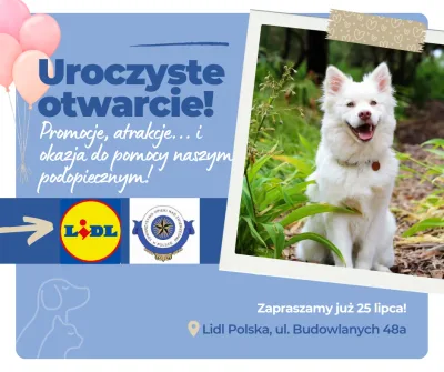 Otwarcie nowego sklepu Lidl w Opolu z udziałem TOZ