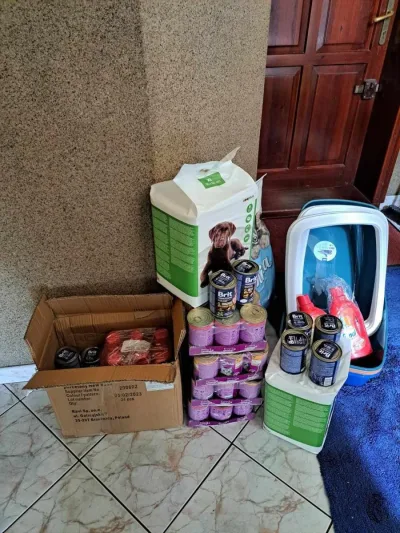 Podziękowania dla darczyńców za wsparcie Kociego Domu
