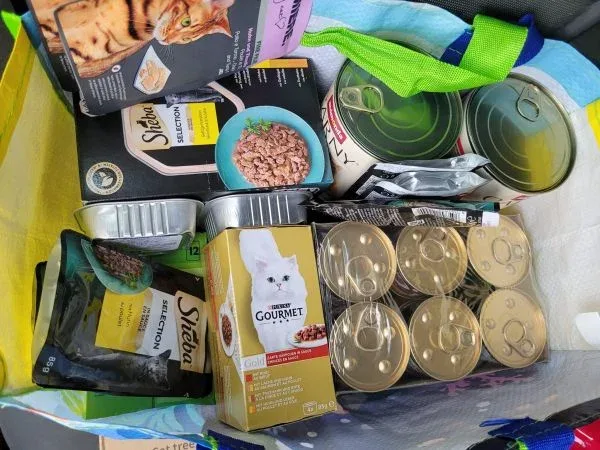 Podziękowania dla Pani Moniki za wsparcie