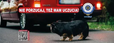 Kampania "Nie porzucaj!" 2024