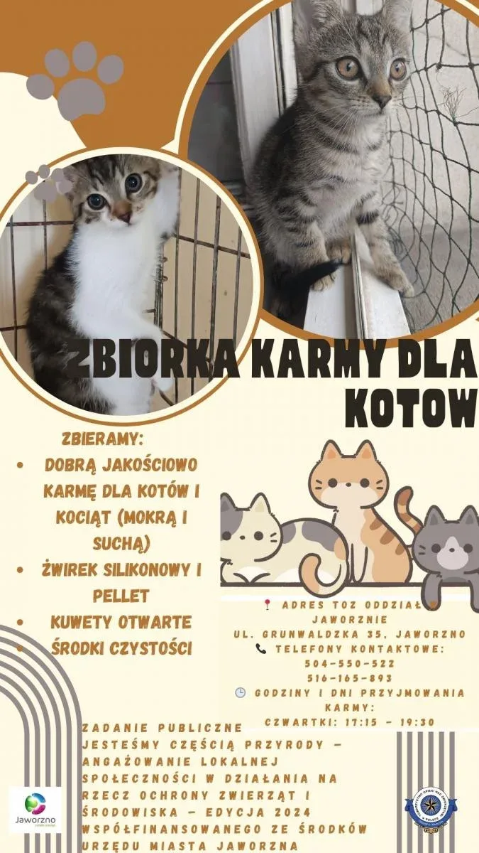 Zbiórka karmy i artykułów dla kotów w Jaworznie