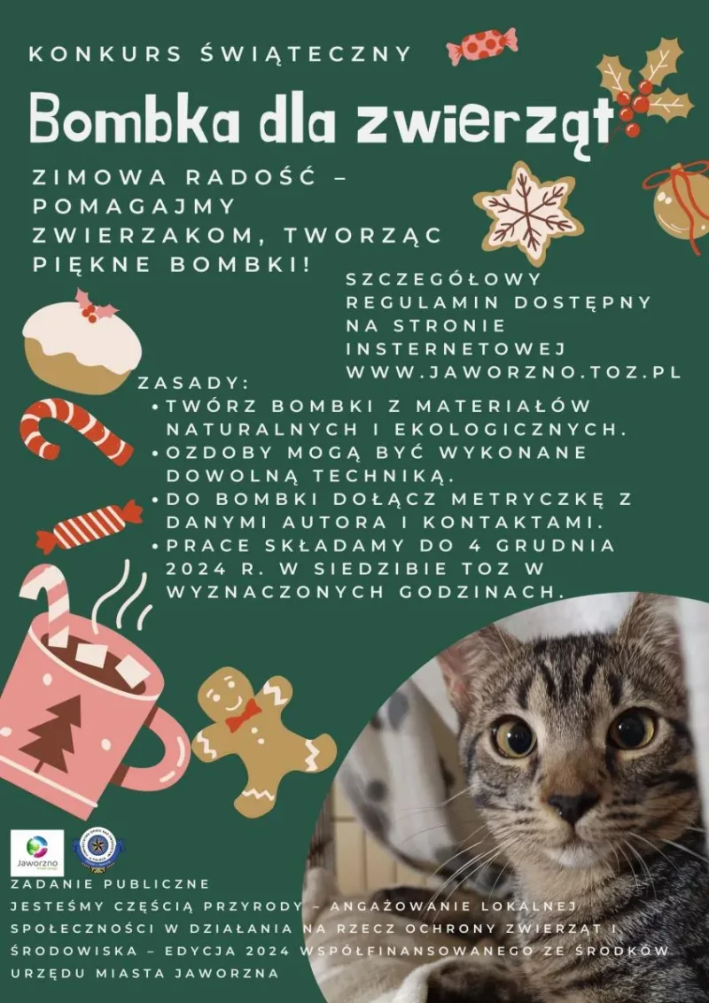 Konkurs „Bombka dla zwierząt” w Jaworznie