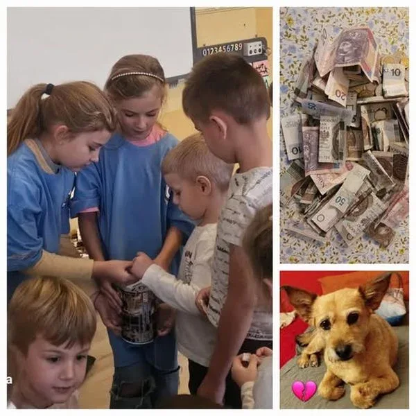 Podziękowania dla Szkoły i Przedszkola w Wilczyskach