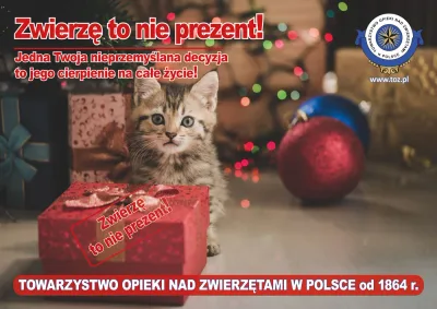 Zwierzę to nie prezent