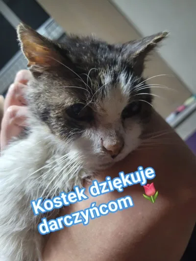 Podziękowania za styczniowe wpłaty