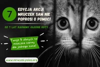 VII edycja akcji Mruczek sam nie poprosi o pomoc
