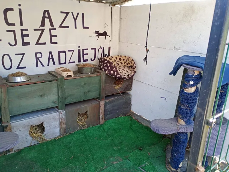 Podziękowania za wsparcie dla kocich azyli
