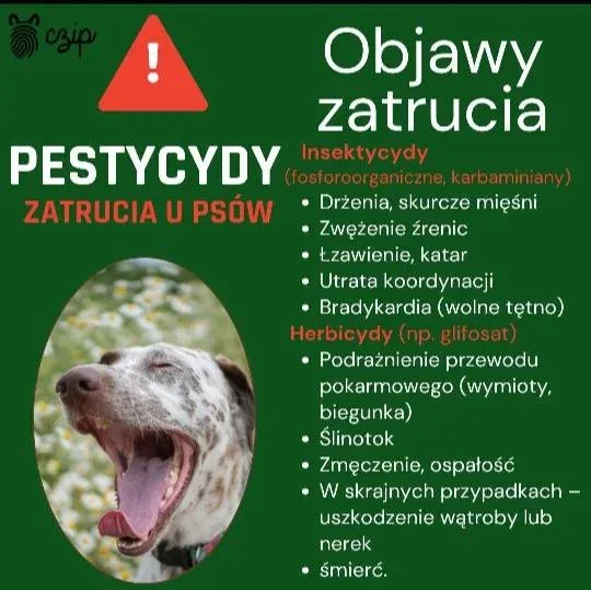 Zagrożenia dla zwierząt związane z pestycydami