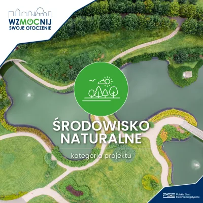 Rewitalizacja terenu przy schronisku w Zabrzu