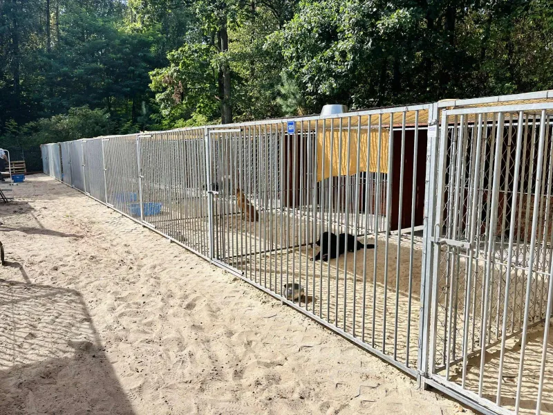 Modernizacja boksów w schronisku w Celestynowie