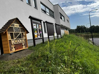 Rewitalizacja terenu przy schronisku Psitulmnie w Zabrzu