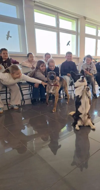 Obchody Światowego Dnia Zwierząt w Radziejowie