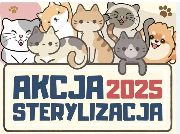 Zwiększenie budżetu na sterylizację w Starym Sączu
