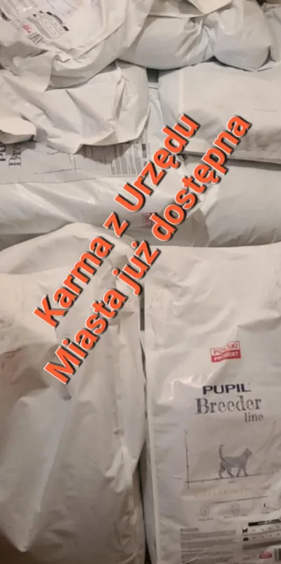 Darowizna karmy dla karmicieli kotów w Nowym Sączu