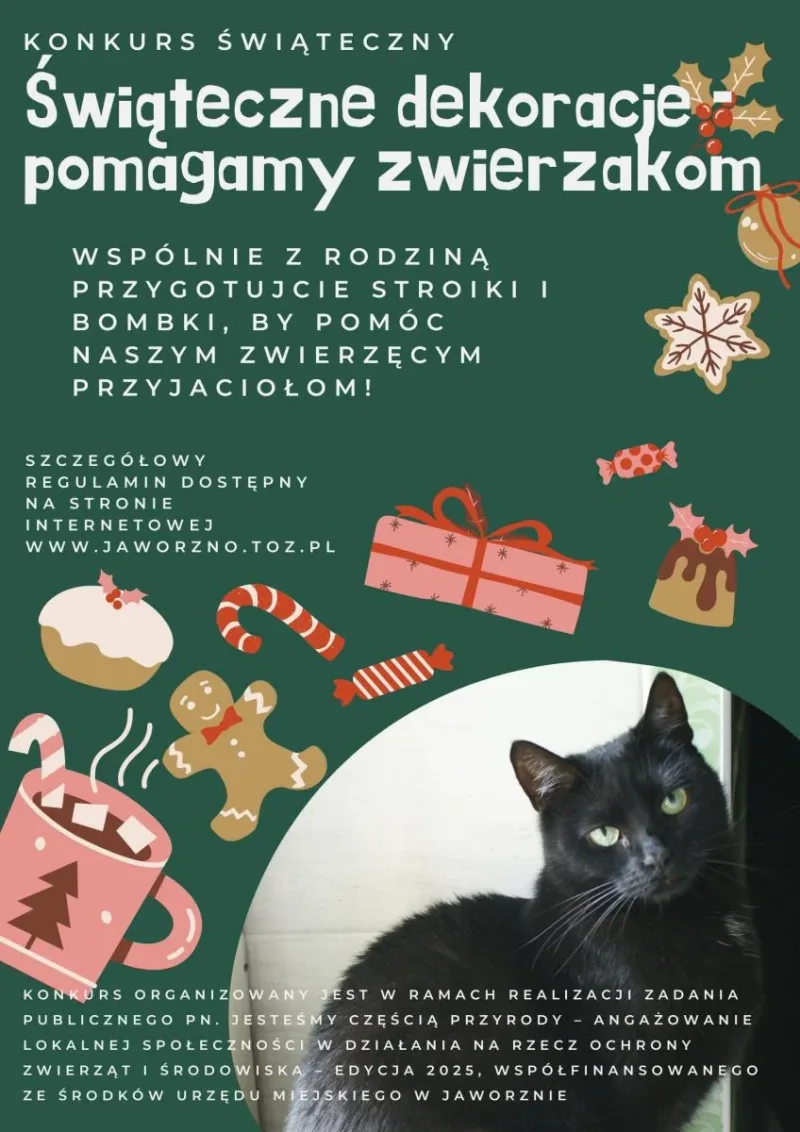 Konkurs świąteczny w Jaworznie na dekoracje pomagające zwierzętom