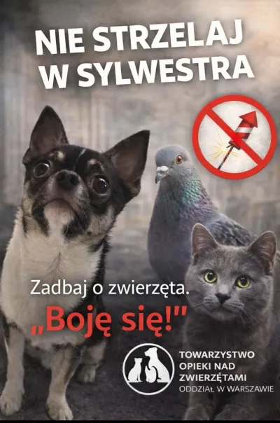 Sylwester bez fajerwerków to mniej strachu dla zwierząt