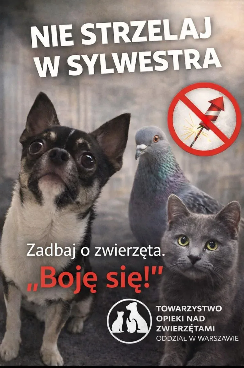 Sylwester bez fajerwerków to mniej strachu dla zwierząt