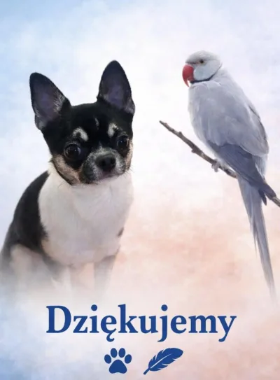 Podziękowania za wybór ciszy w Sylwestra