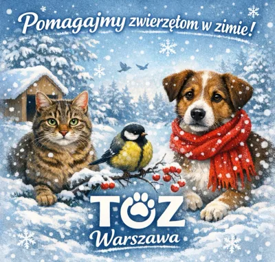 Jak pomóc zwierzętom w czasie mrozów