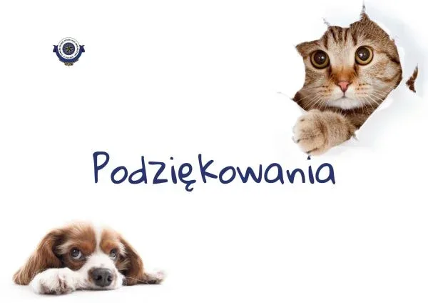 Podziękowania dla darczyńców za wsparcie naszych podopiecznych