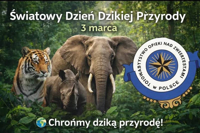 Światowy Dzień Dzikiej Przyrody 2026