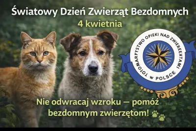 Dzień zwierząt bezdomnych 2026