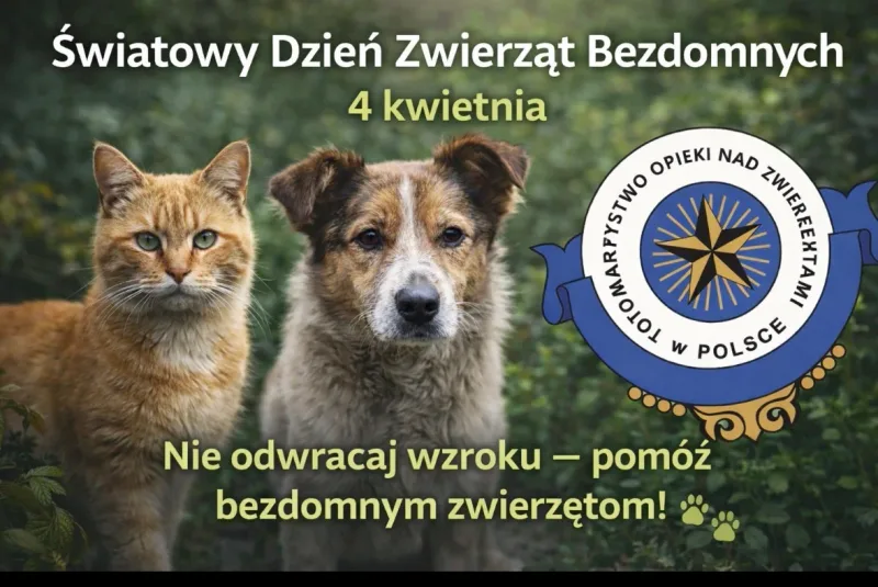 Dzień zwierząt bezdomnych 2026