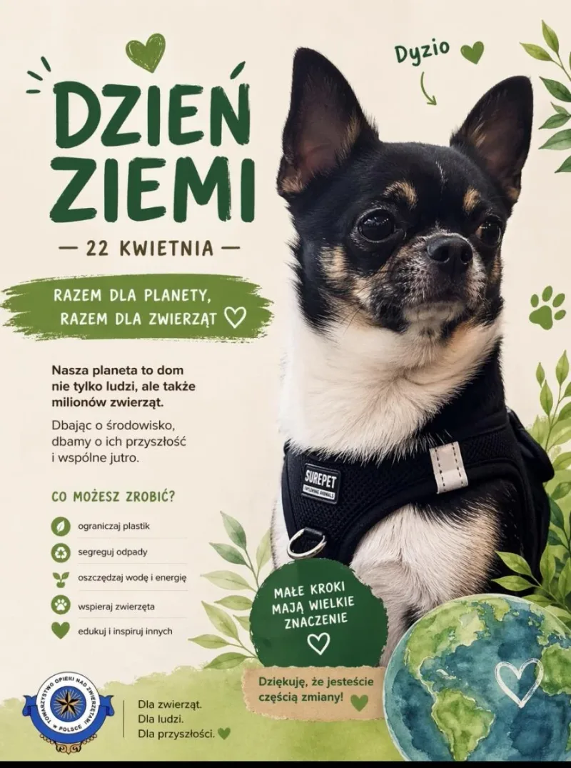 Dzień Ziemi a zwierzęta – wspólna odpowiedzialność