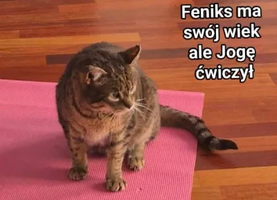 Podziękowania dla Endorfina Studio Jogi