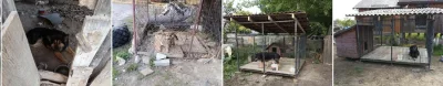 Interwencja w okolicach Białej Podlaskiej