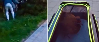 Interwencja na Bemowie: kura bezpieczna i szuka domu