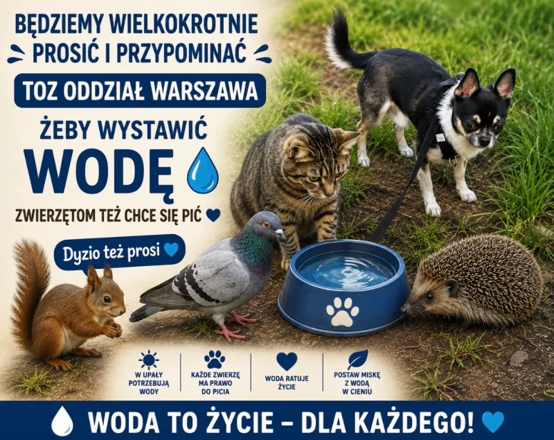 Apel o wystawianie misek z wodą dla zwierząt