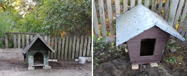 Nowe budy dla psiaków z Lachówki Małej