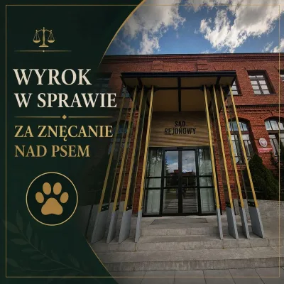 Wyrok za zaniedbanie Almy: rok więzienia dla właściciela