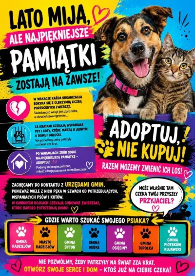 Adoptuj zwierzę na koniec wakacji