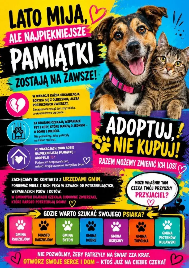 Adoptuj zwierzę na koniec wakacji